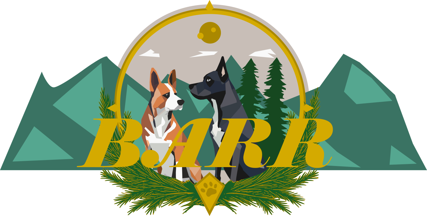 BARR grafisk profil